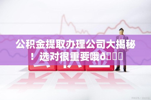 涡阳公积金提取办理公司大揭秘！选对很重要哦😎